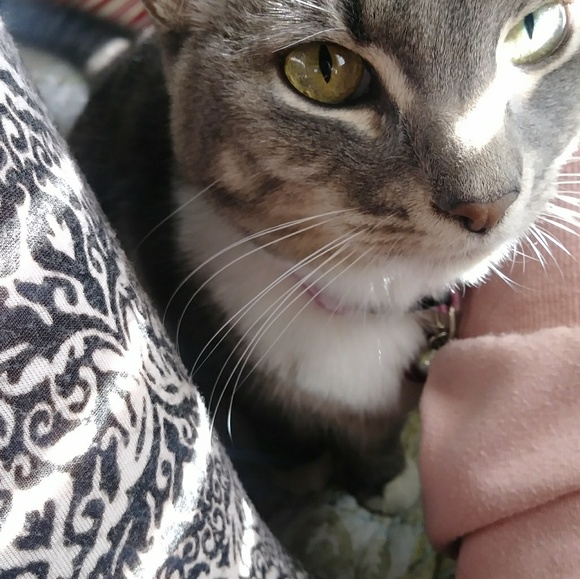 Meet your Posher, Mykokololo - Picture 4 of 4